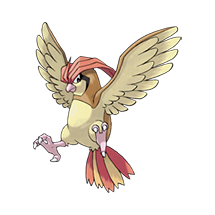 Pidgeotto Pokémon, National Pokédex #0017
