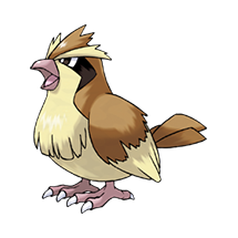 Pidgey Pokémon, National Pokédex #0016