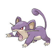 Rattata Pokémon, National Pokédex #0019