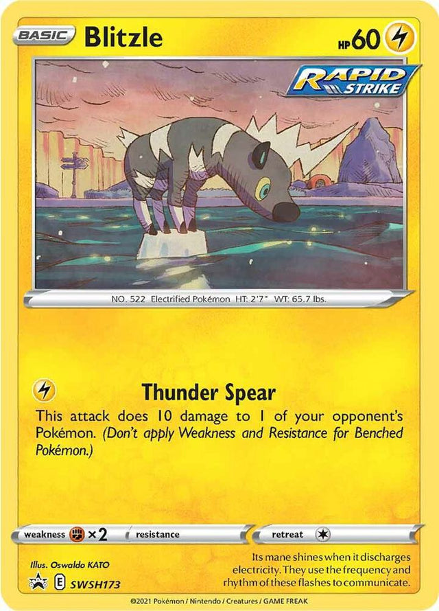 Blitzle SWSH173, Sword & Shield Promos, Holo, English Pokémon TCG card
