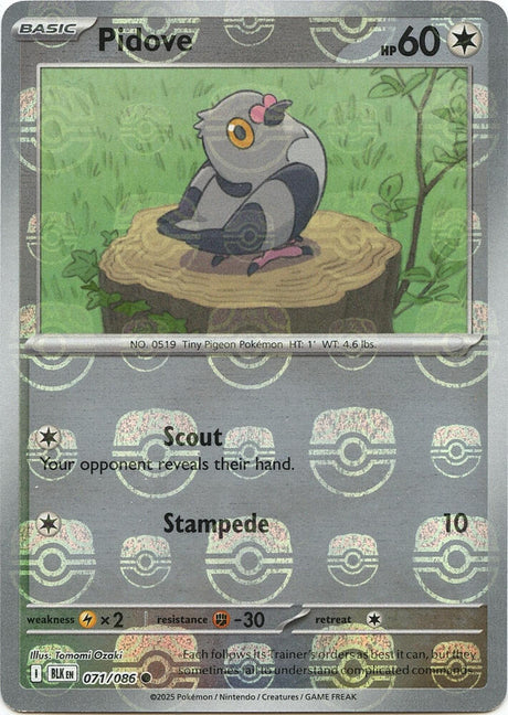 Pidove 071/086 - Black Bolt - Master Ball Reverse Holo