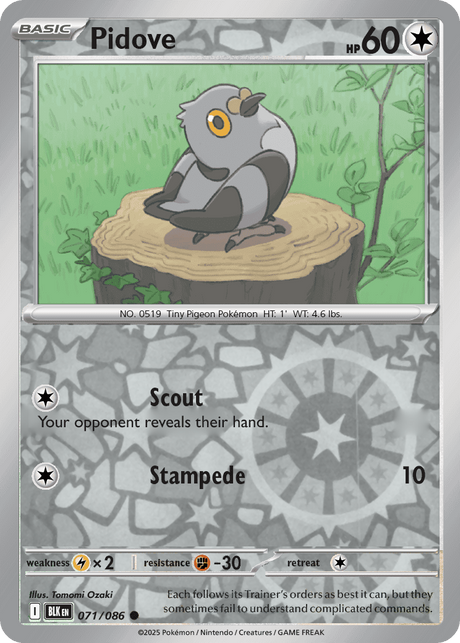 Pidove 071/086 - Black Bolt - Reverse Holo