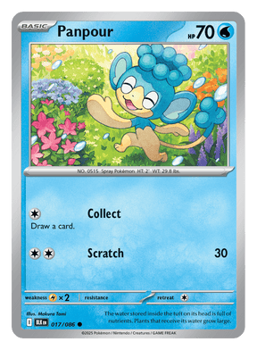 Panpour 017/086 - Pokémon TCG Black Bolt card