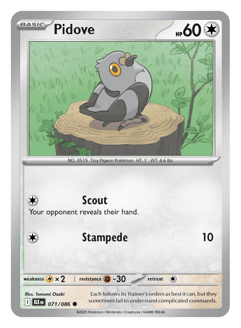 Pidove 071/086 - Pokémon TCG Black Bolt card