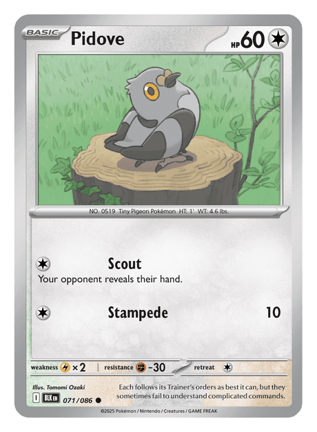 Pidove 071/086 - Pokémon TCG Black Bolt card