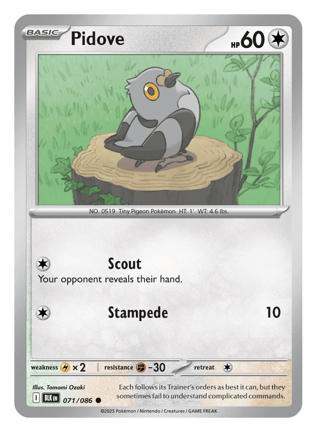 Pidove 071/086 - Pokémon TCG Black Bolt card