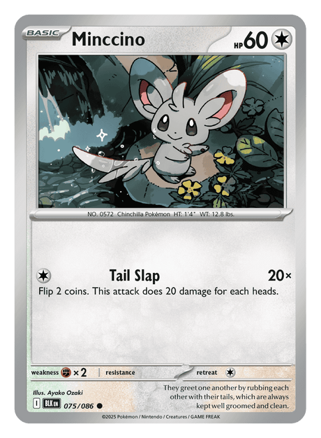 Minccino 075/086 - Pokémon TCG Black Bolt card