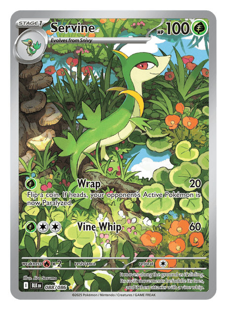 Servine 088/086 - Pokémon TCG Black Bolt card