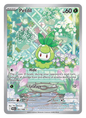 Petilil 091/086 - Pokémon TCG Black Bolt card