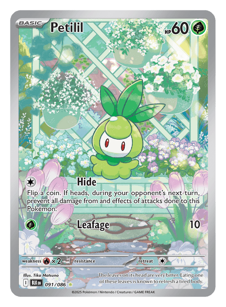 Petilil 091/086 - Pokémon TCG Black Bolt card