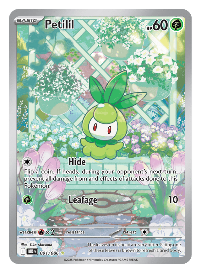 Petilil 091/086 - Pokémon TCG Black Bolt card