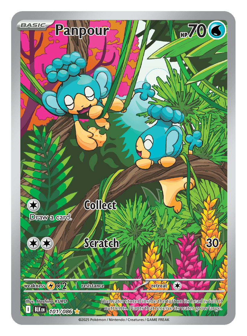 Panpour 101/086 - Pokémon TCG Black Bolt card