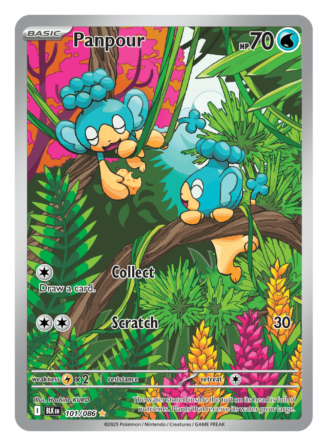 Panpour 101/086 - Pokémon TCG Black Bolt card