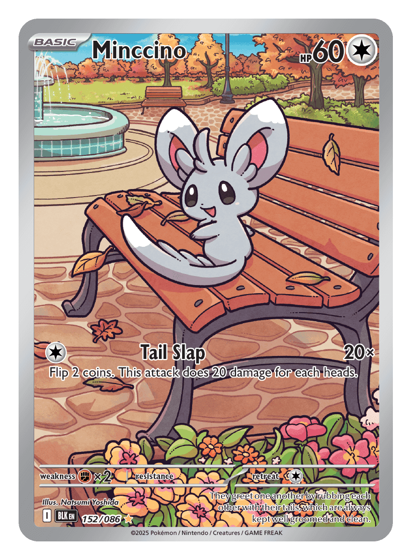 Minccino 152/086 - Pokémon TCG Black Bolt card