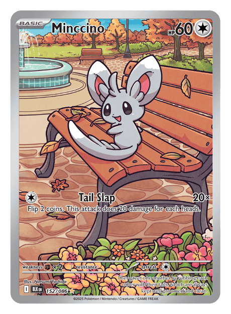 Minccino 152/086 - Pokémon TCG Black Bolt card