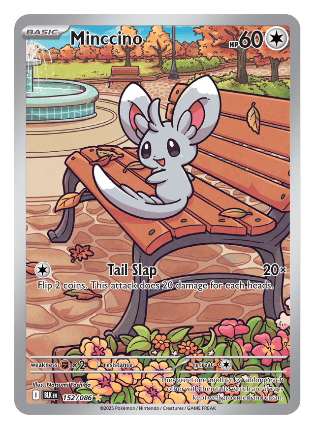 Minccino 152/086 - Pokémon TCG Black Bolt card