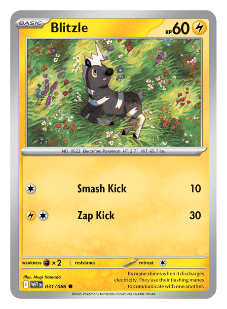 Blitzle 031/086 - Pokémon TCG White Flare card