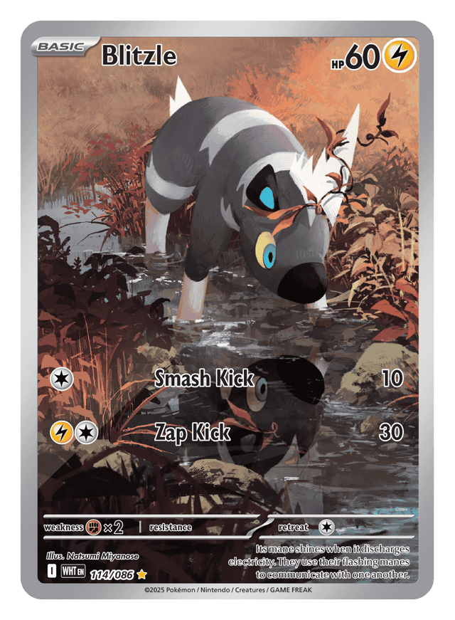 Blitzle 114/086 - Pokémon TCG White Flare card